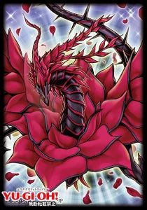 Duelist Card Protector: Signer Dragon Set Box Yu-Gi-Oh! OCG